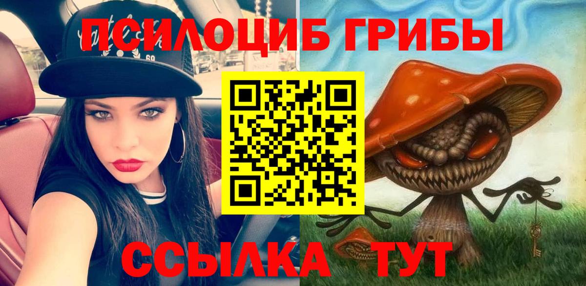 Сертолово  Псилоцибиновые грибы мухоморы  Псилоцибиновые грибы MAGIC MUSHROOMS  Вход с VPN 